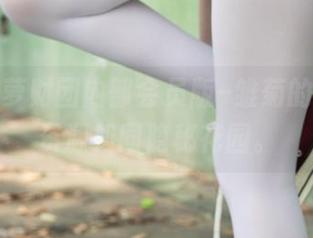 看！森萝财团内部会员版–雏菊的美图，资源如同隐秘花园。