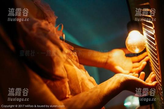 蜜桃社 - 一路撩至旗袍底下，伊琳的图集你敢不敢看？