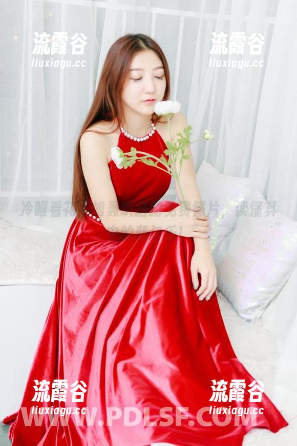 冷眼看花不如轰趴猫的免费照片，读懂其中的悲与乐！